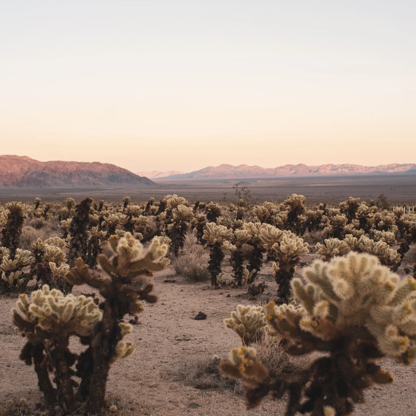 Hello Muses!

Here goes an example of how we can use the Instagram for our discussion threads!

Everything we post on here is totally private and only for the 8 of our eyes. Perhaps down the road we can use this instagram for marketing and make it pu