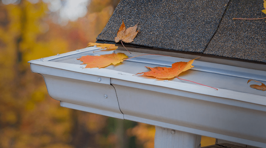 LeafFilter Conversion