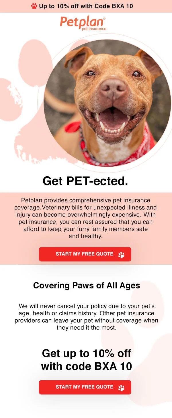 PetPlan_10 off_EmailPETPLAN EMAIL 1.jpg