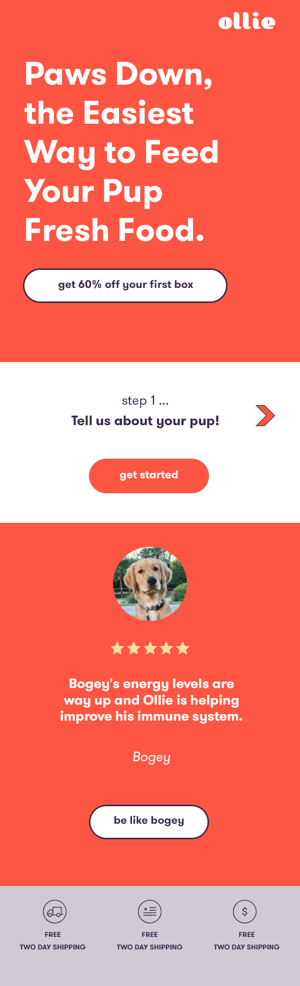 Ollie-email-2.gif