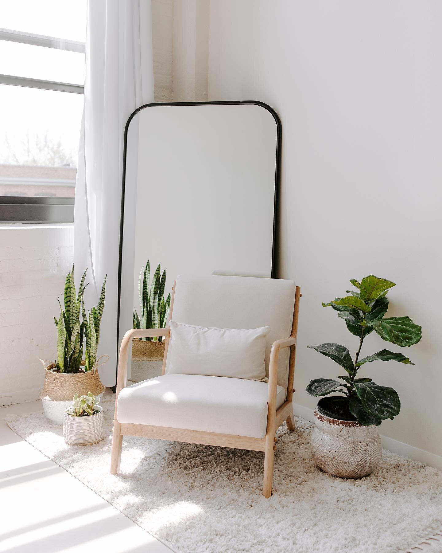 morning light in this styled corner🪴 did you know we have diffusing curtains hung along our windows so if you prefer soft light to the direct light coming through our windows, you have the availability to control it!