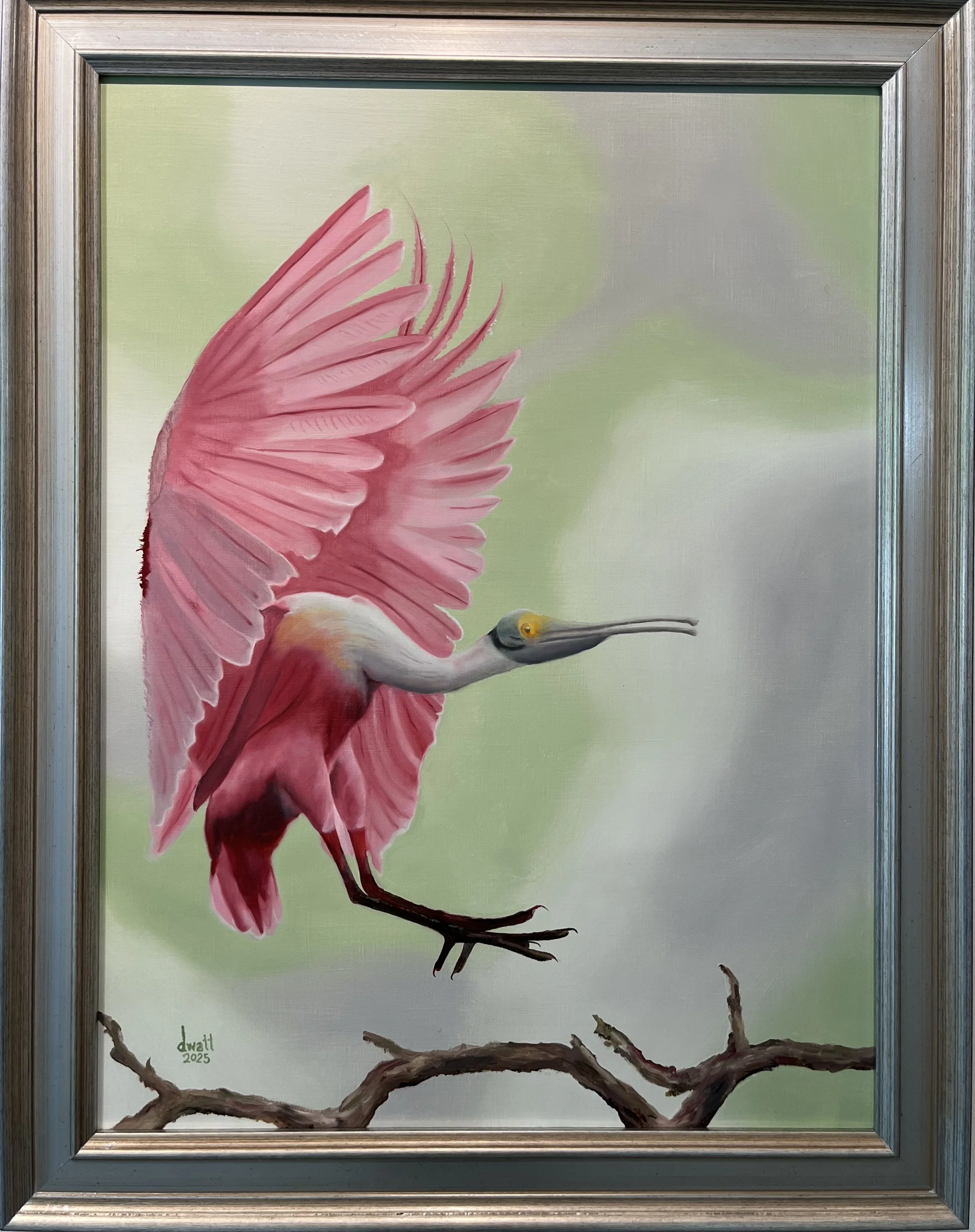 Roseate Spoonbill
