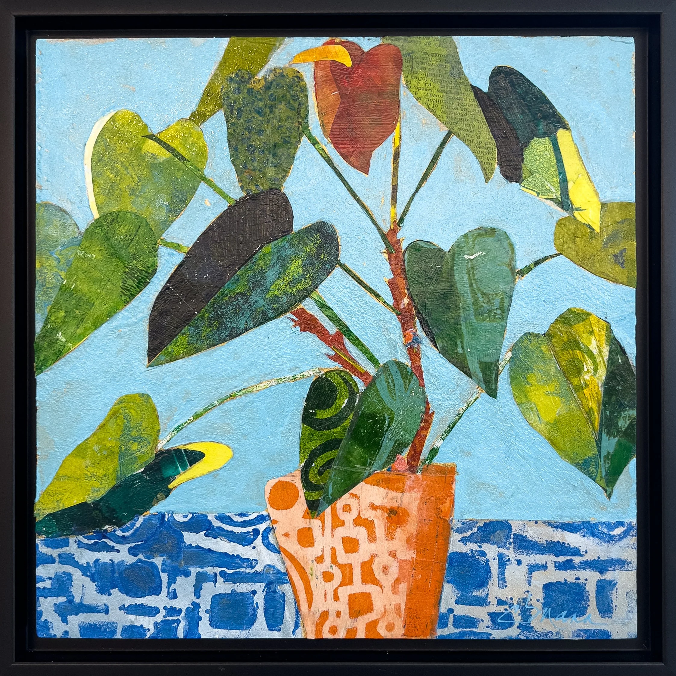 Sunlit Anthurium
