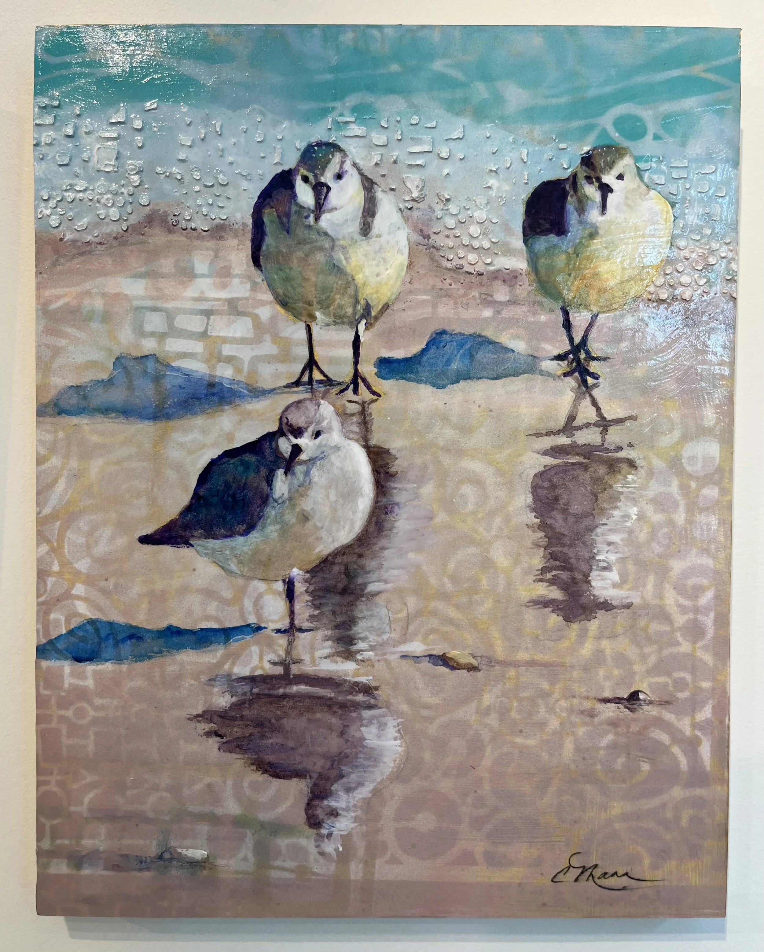 Sanderlings