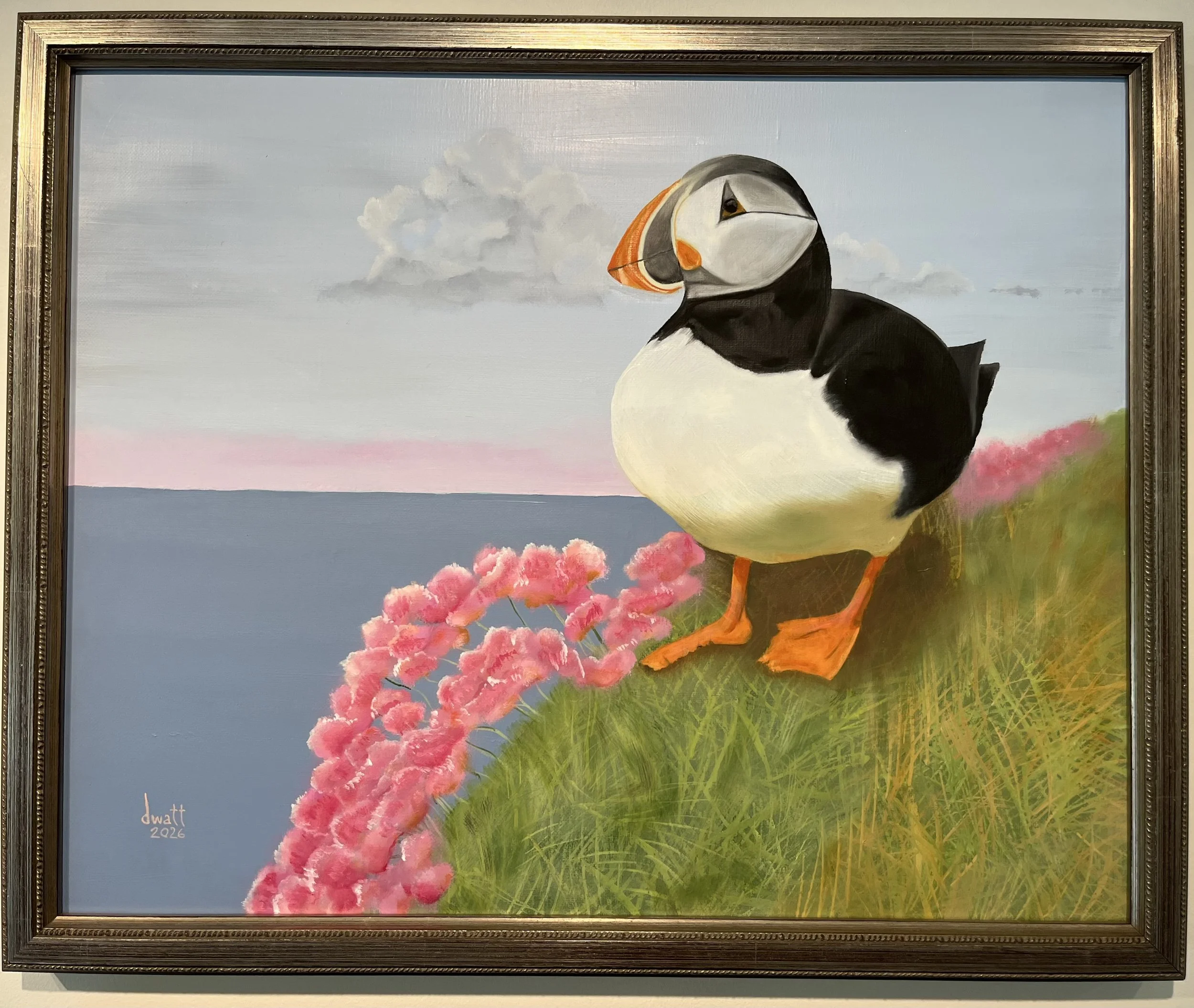 Puffin