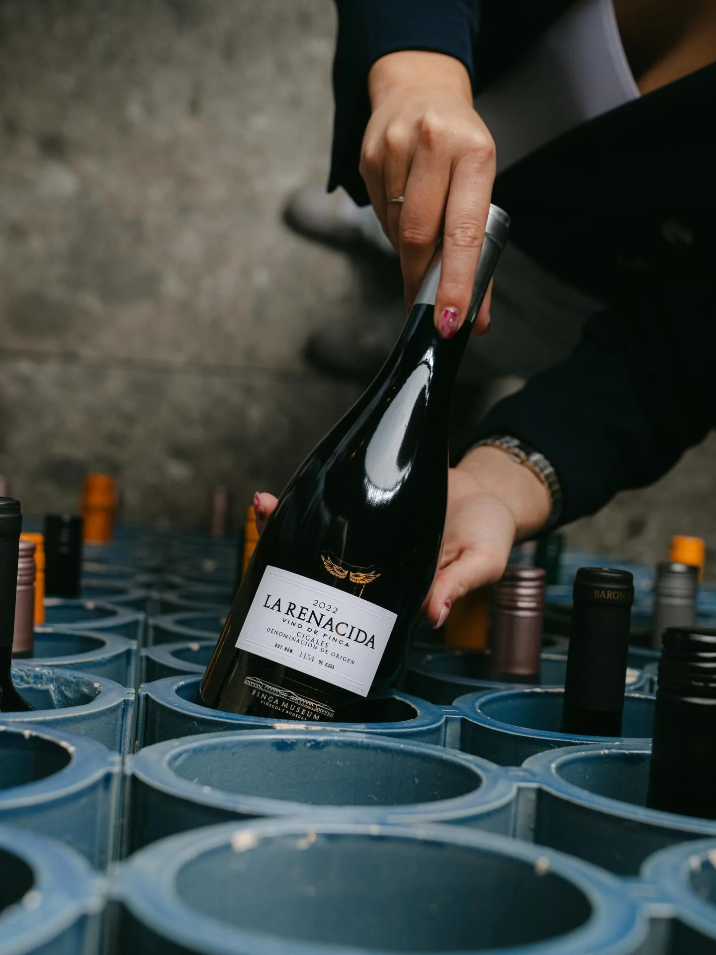 De zevende &ldquo;Wine of the Week&rdquo; is onze prachtige Renacida. 🍷

Deze wijn is complex en delicaat met aroma&rsquo;s van rood fruit, florale tonen en sinaasappelschil. Rond, subtiel en delicaat, met een lage tannine intensiteit. 

Deze wijn p