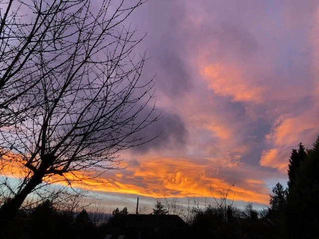 Sunset sky with orange, pink, and purple clouds, silhouetted trees and rooftops.