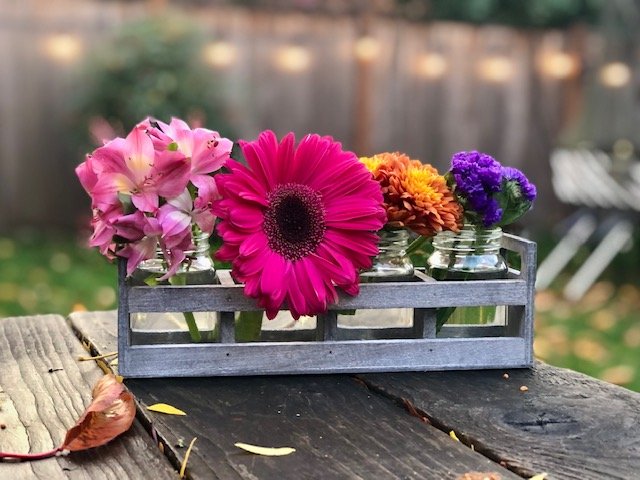 Backyard flowers (Copy)