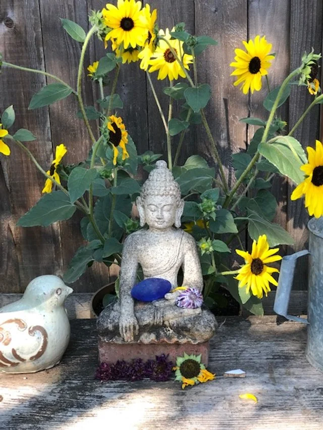 Backyard Buddha  (Copy)