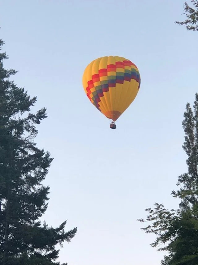 Ballooning  (Copy)