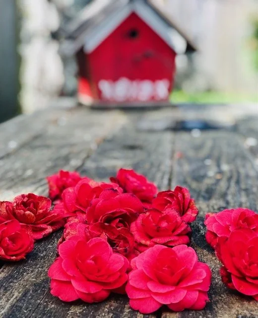 Roses (Copy)