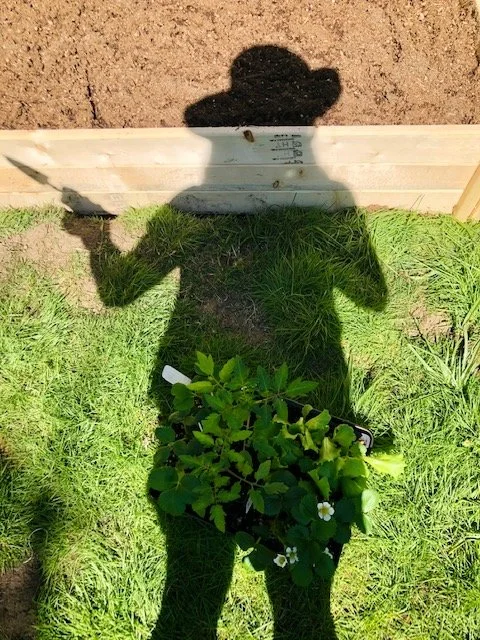 Shadow of a person wearing a cowboy hat taking a photo outdoors with a garden and plants in the foreground.