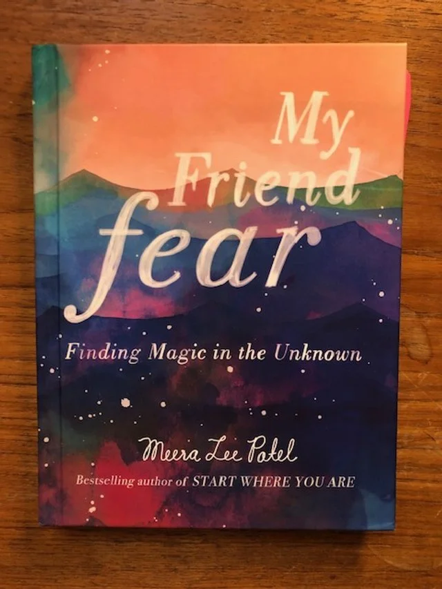 my friend fear book cover.jpg