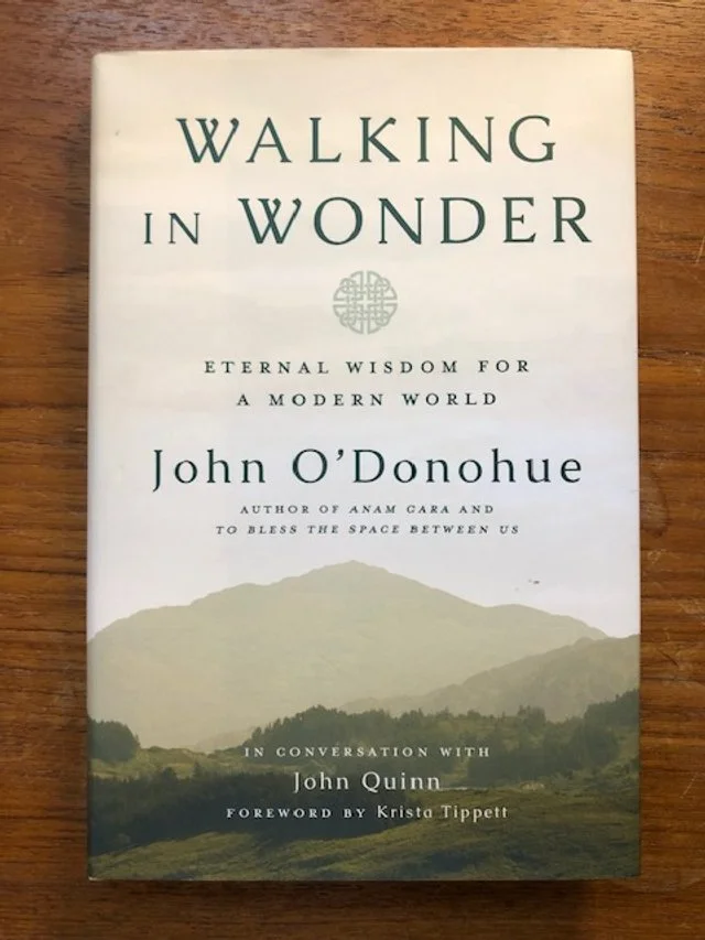 walking in wonder book cover.jpg