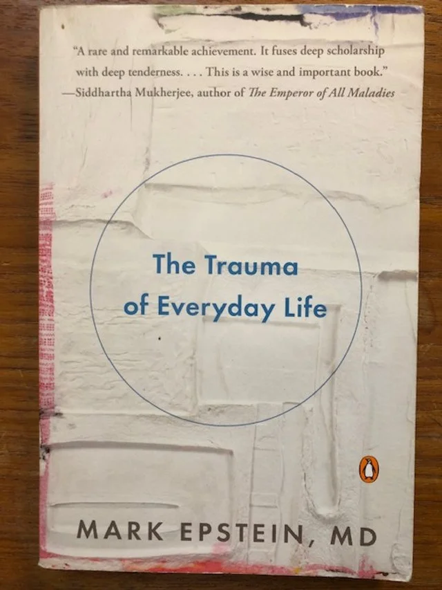the trauma of every day life book cover.jpg
