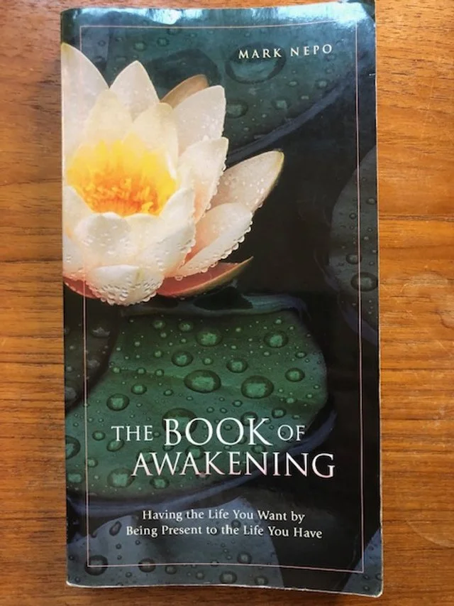 the book of awakening book cover.jpg