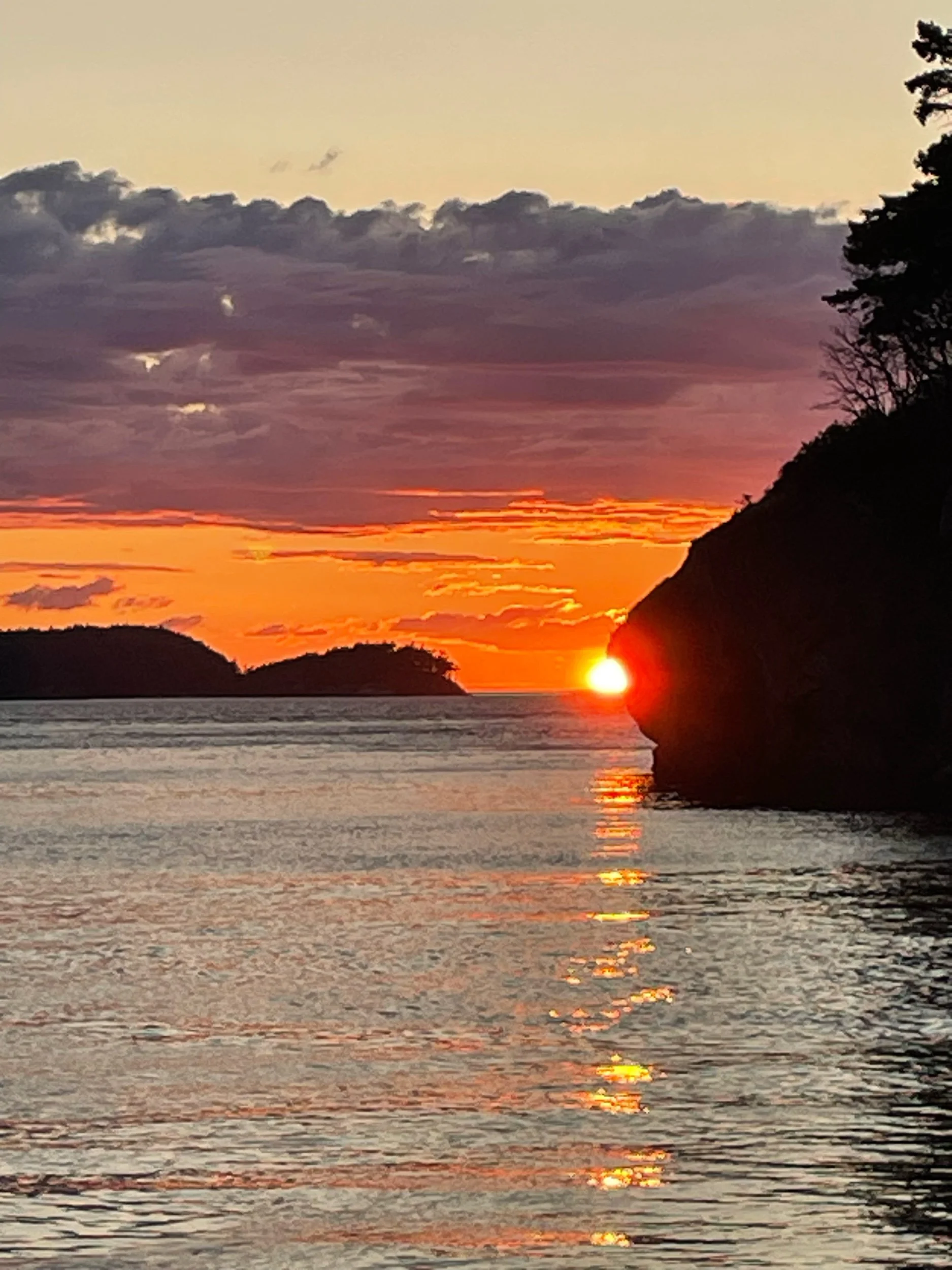 A sunset over the ocean with dark clouds in the sky and a silhouette of trees on the right side of the image.