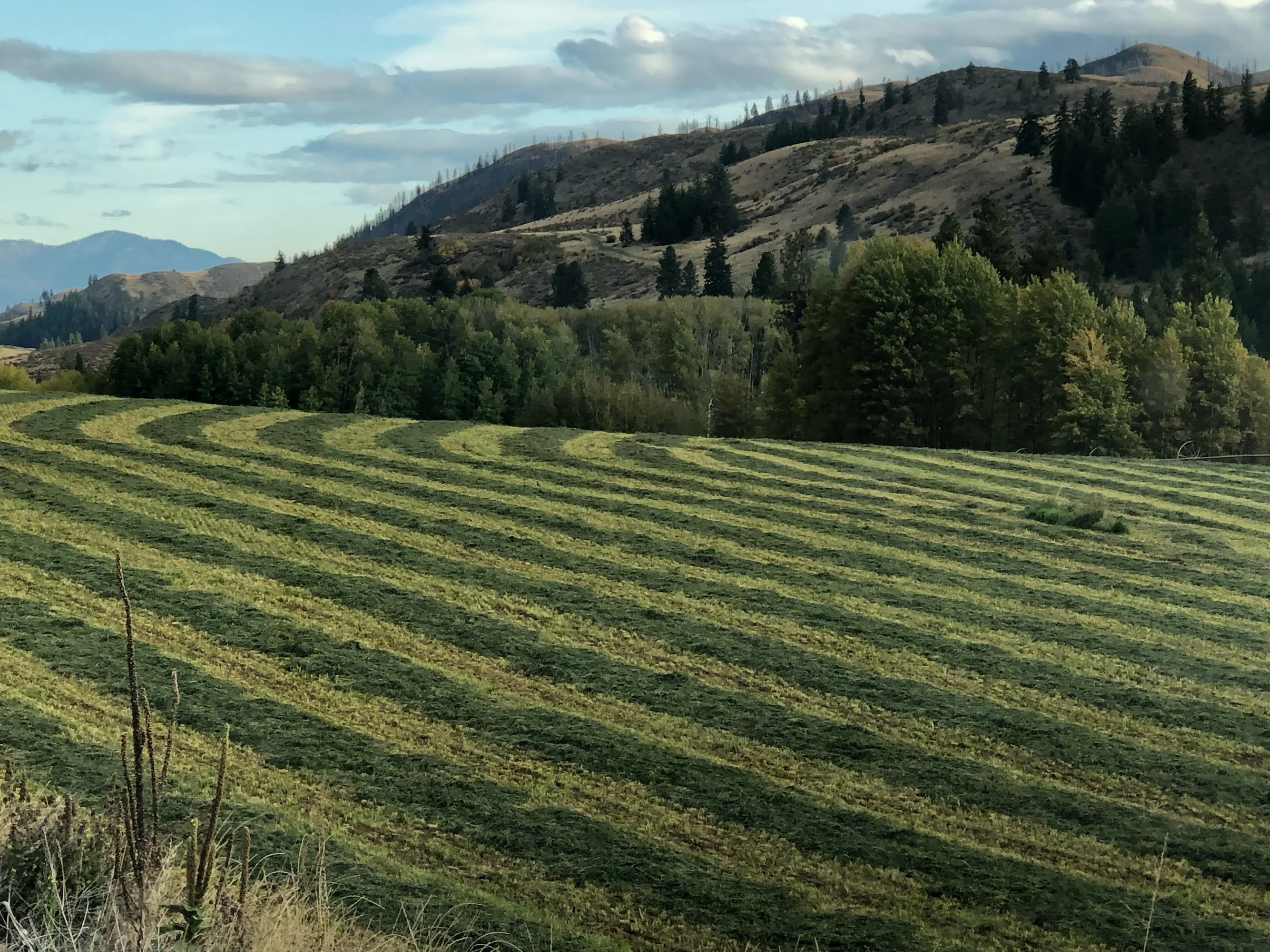 Landscape of rolling green hills with rows of crops, dense trees, and distant mountain ranges under a partly cloudy sky.