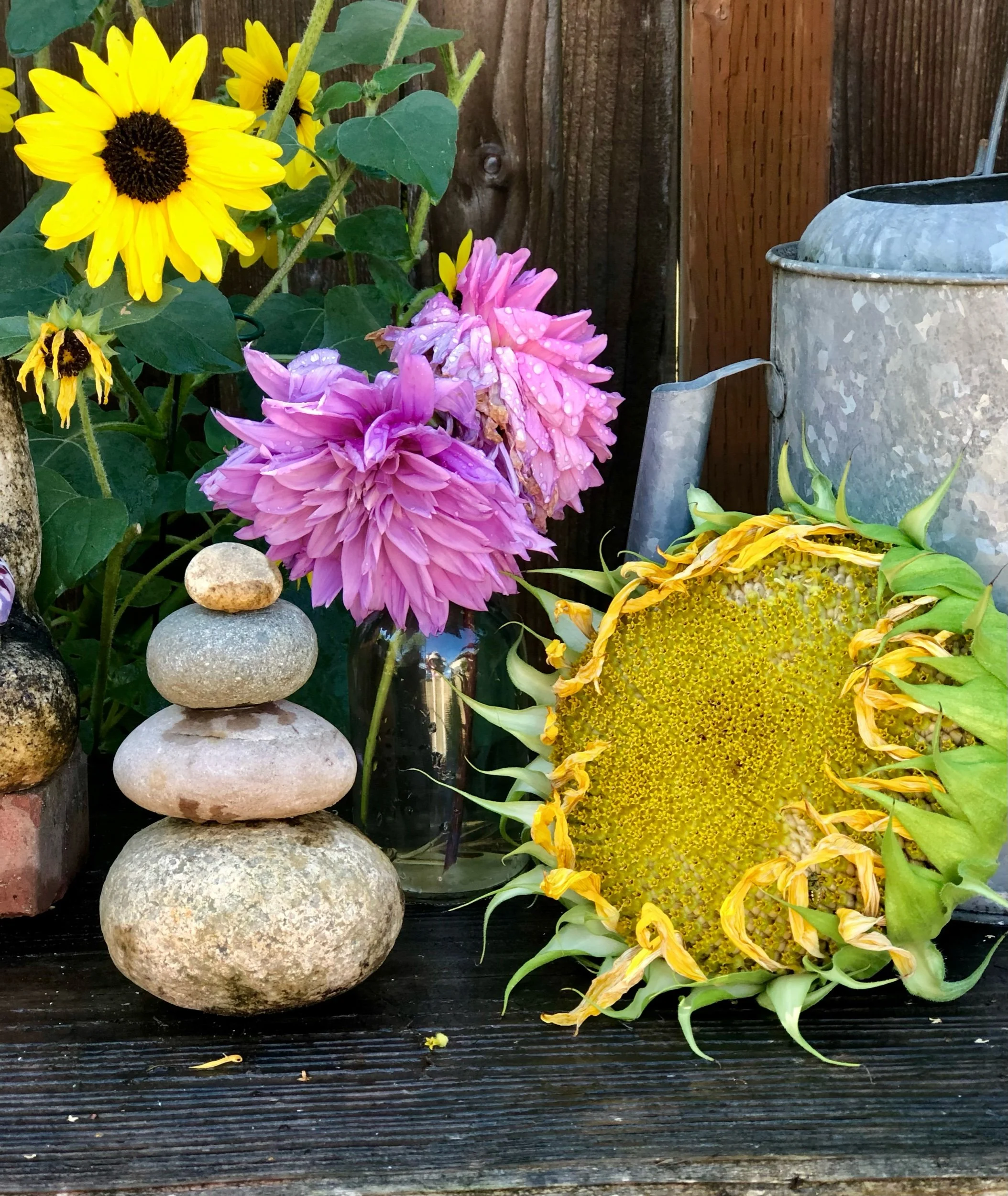 Colorful flowers, including sunflowers with yellow petals and purple dahlias, arranged on a dark wooden surface with a stack of stones and a watering can nearby.