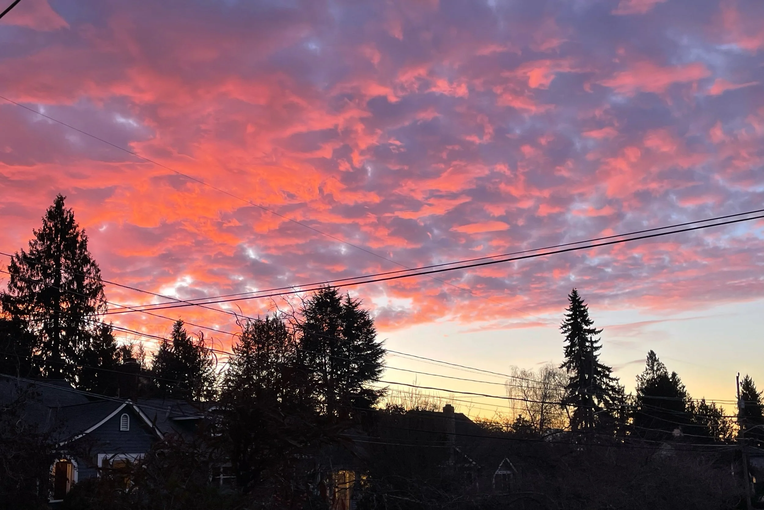 A sunset sky with pink, purple, and orange clouds over trees and rooftops, with power lines in the foreground.