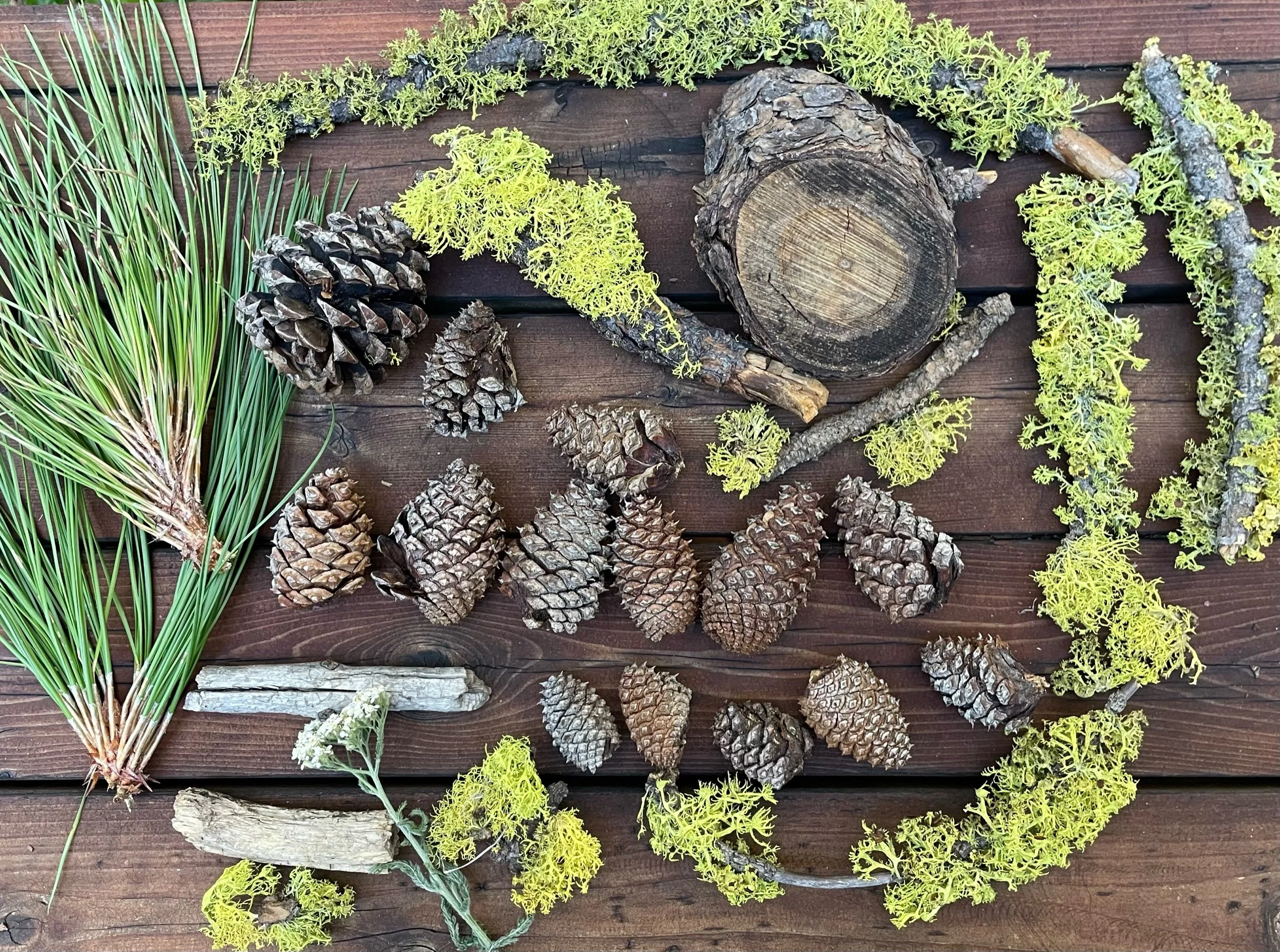 Collection of pinecones, moss, branches, and leaves arranged on a wooden surface.