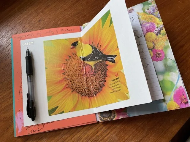 summer journal.jpg