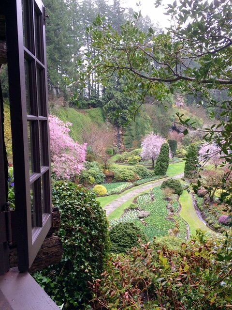 A view of a lush garden with blooming pink trees, trimmed bushes, and a winding stone pathway, seen from an open window.