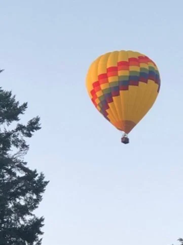 hot ait balloon woodinville summer 2021.jpg