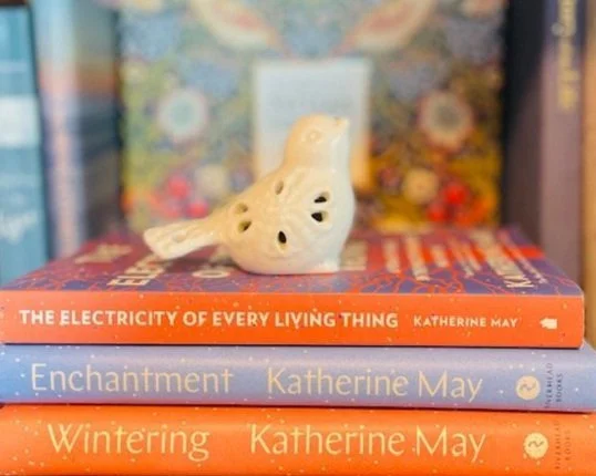 A ceramic bird figurine placed on top of a stack of three books with colorful background and blurred bookshelf.
