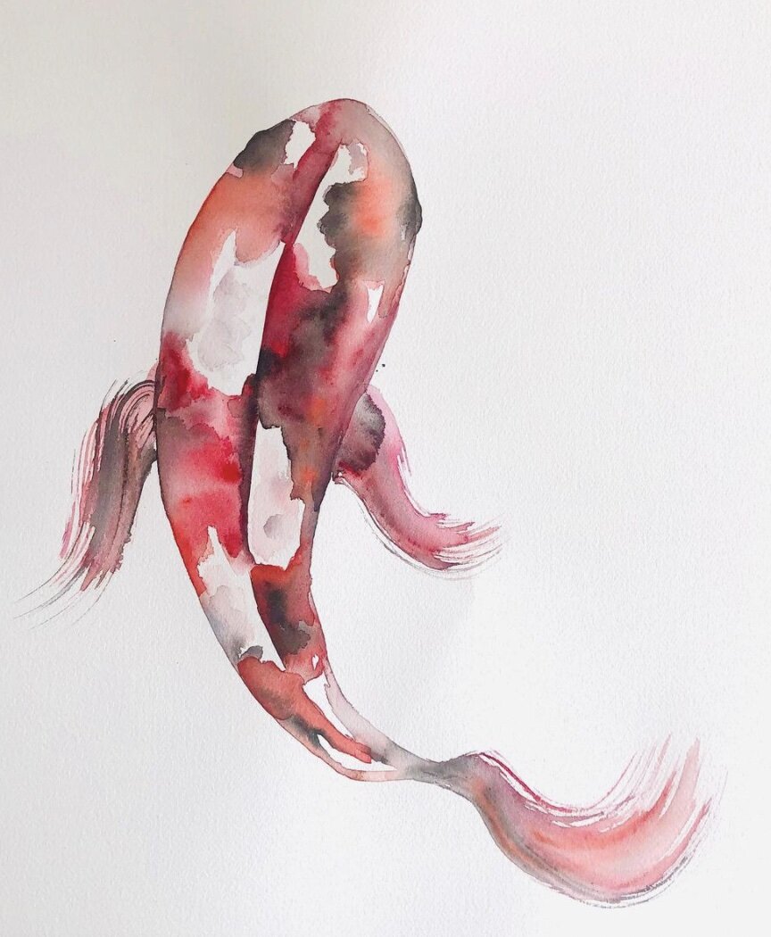 koi.jpg