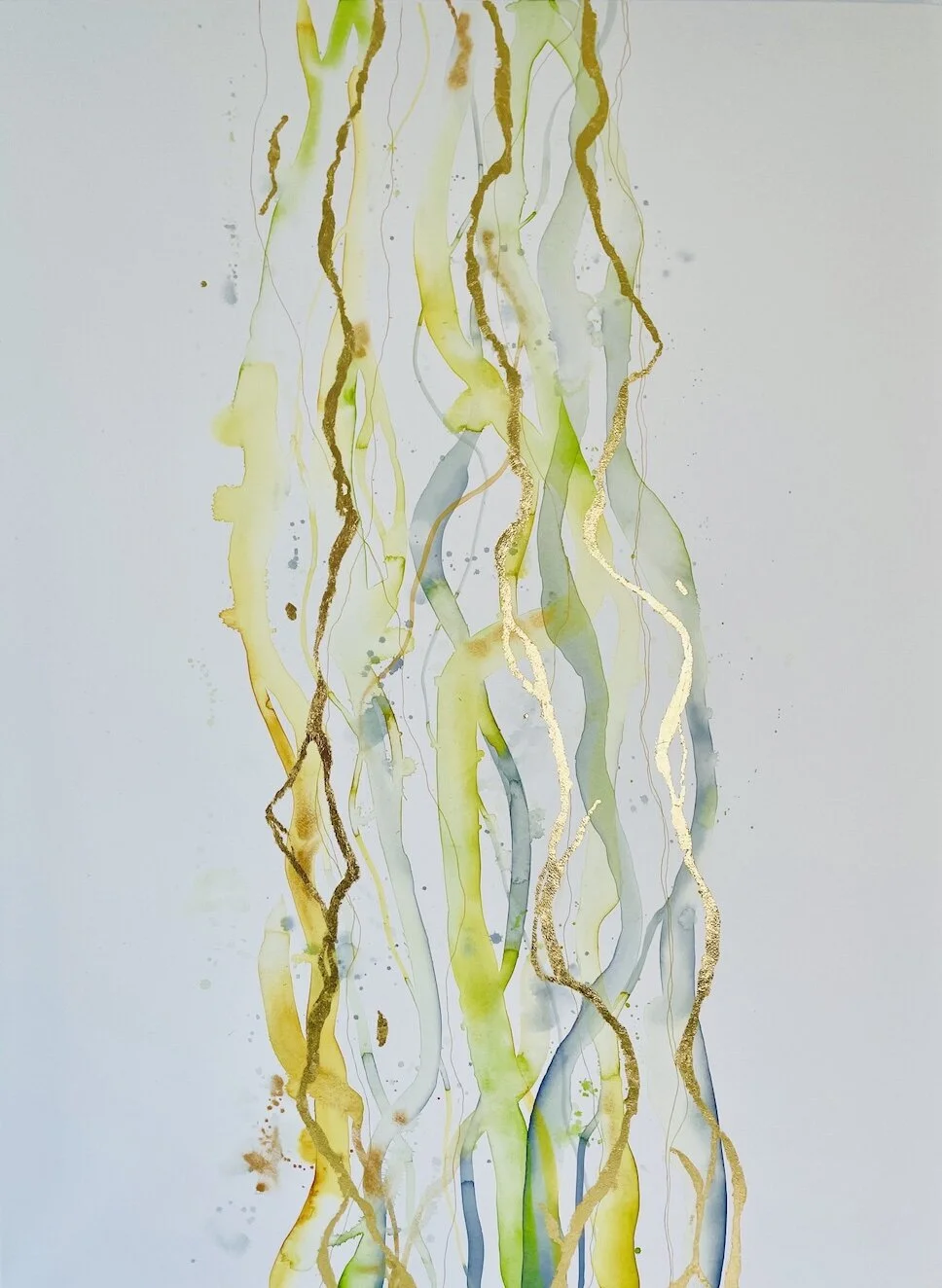 Kelp Pacific Large crop.jpg