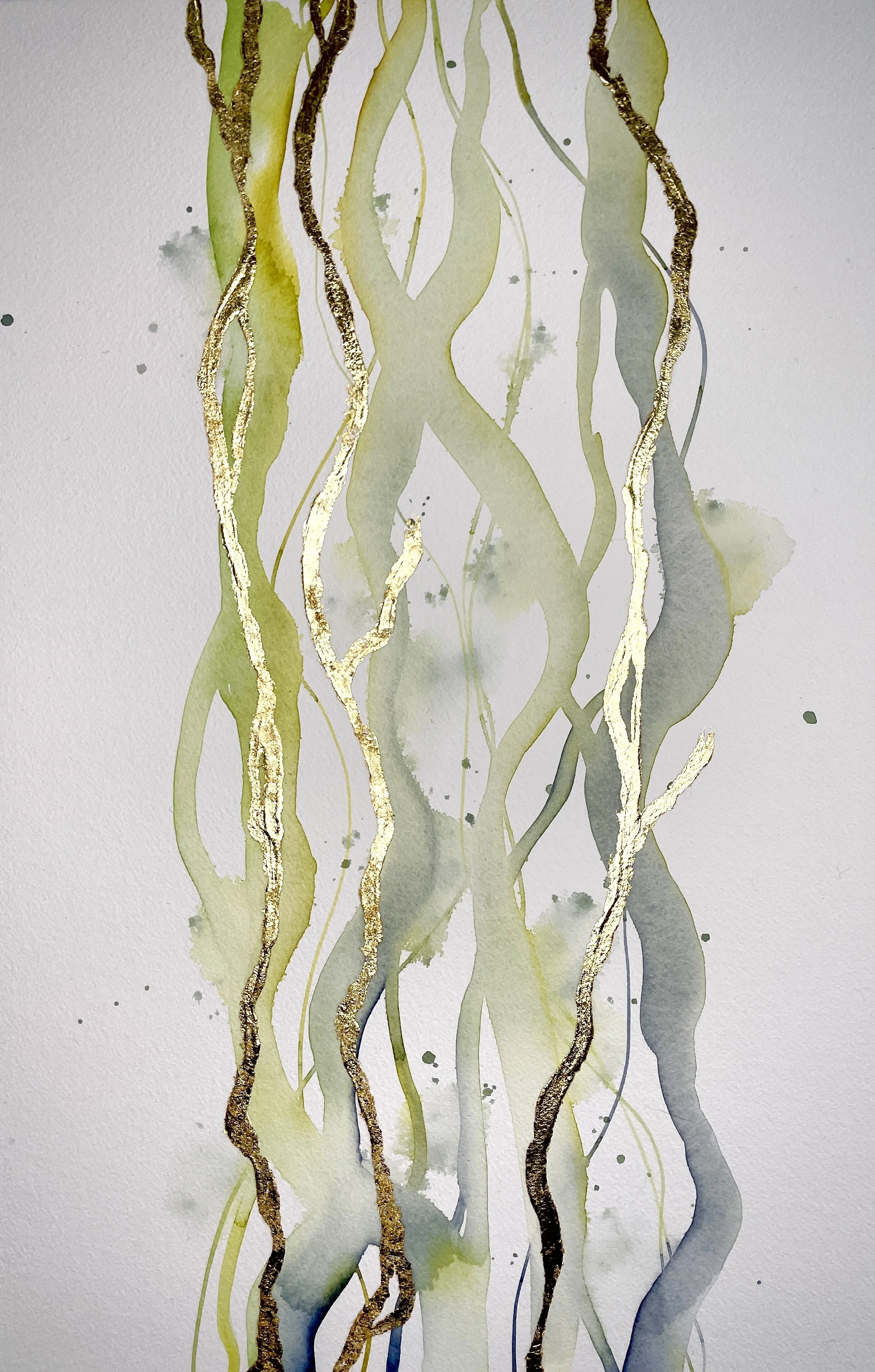 Kelp Pacific Small 2.jpg