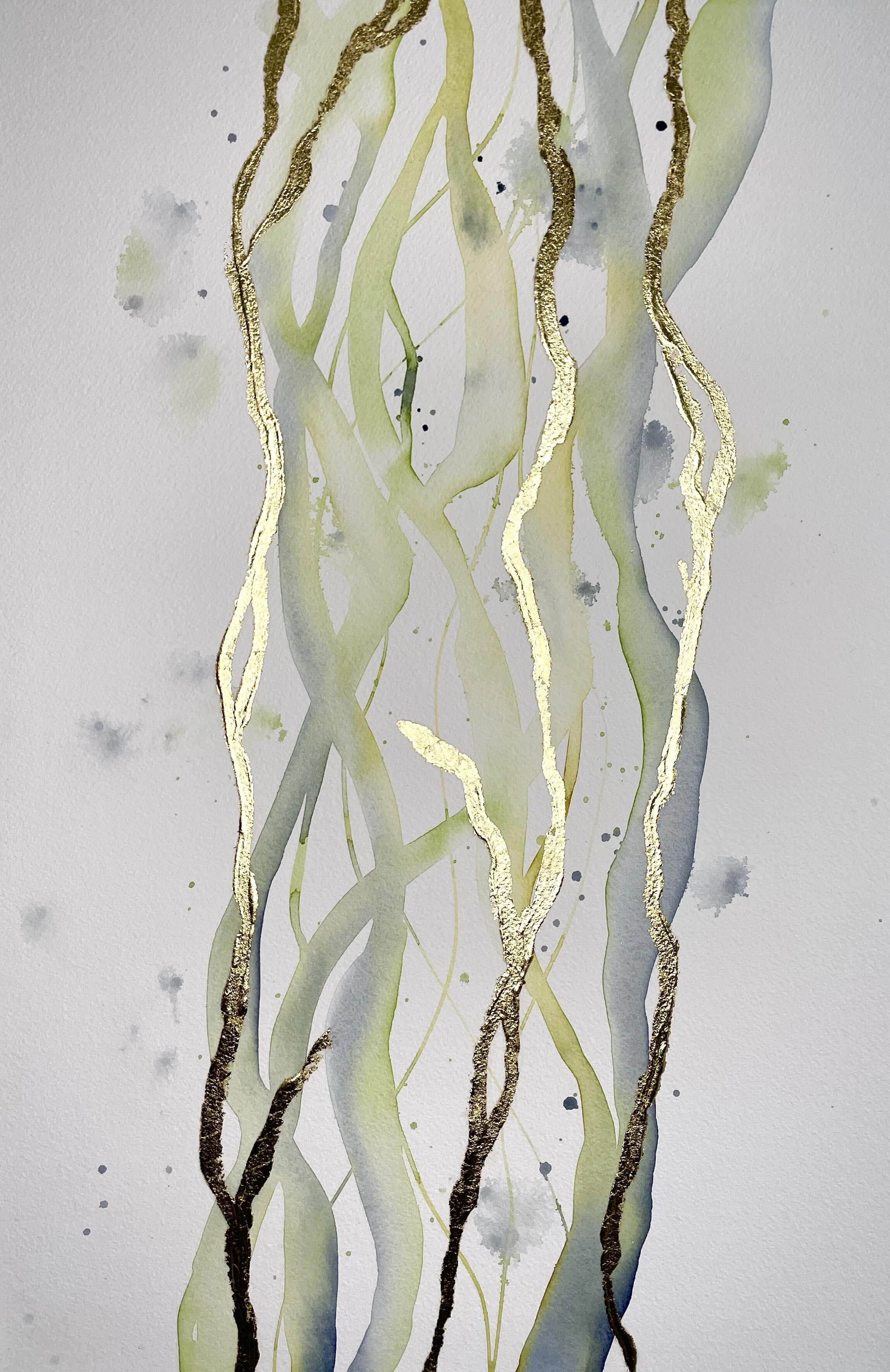 Kelp Pacific Small 1.jpg