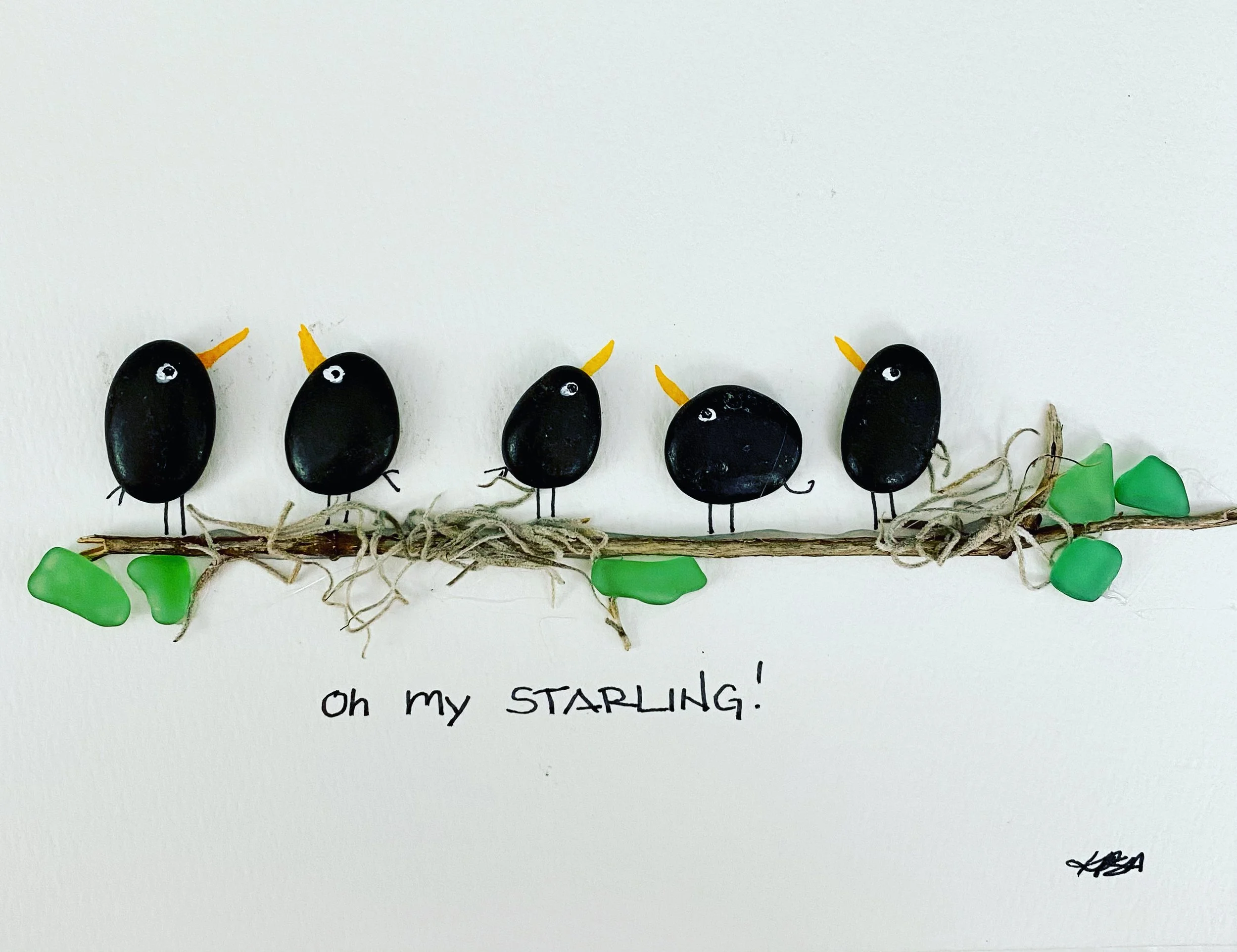 Oh My Starling!
