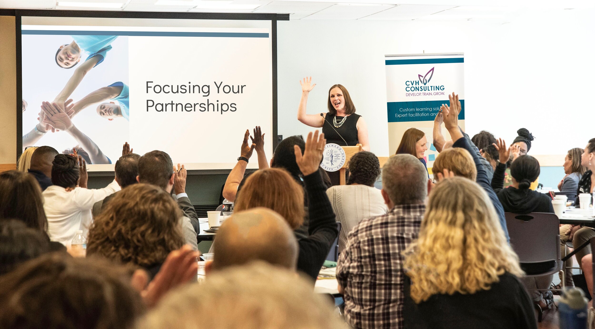 Welcome Back to the Blog!