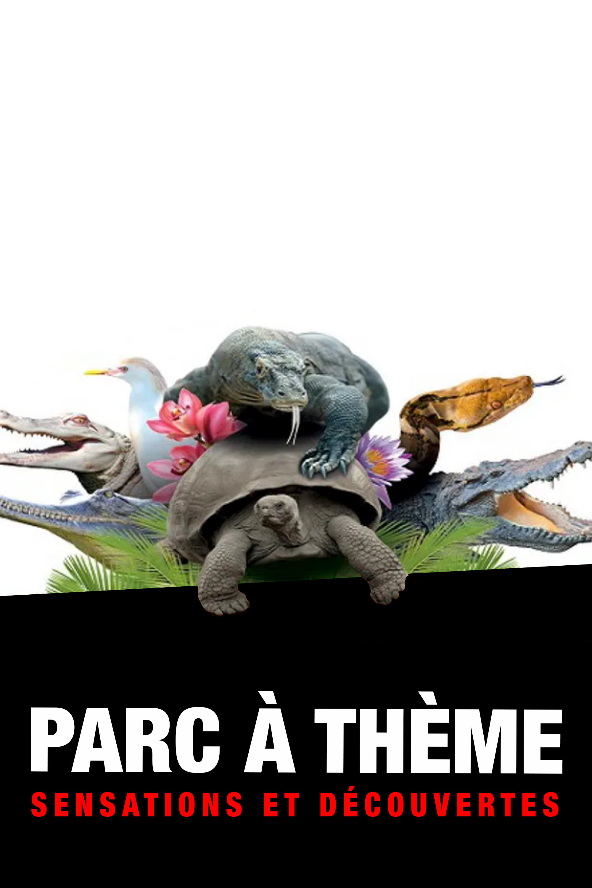 Parc à theme.jpg