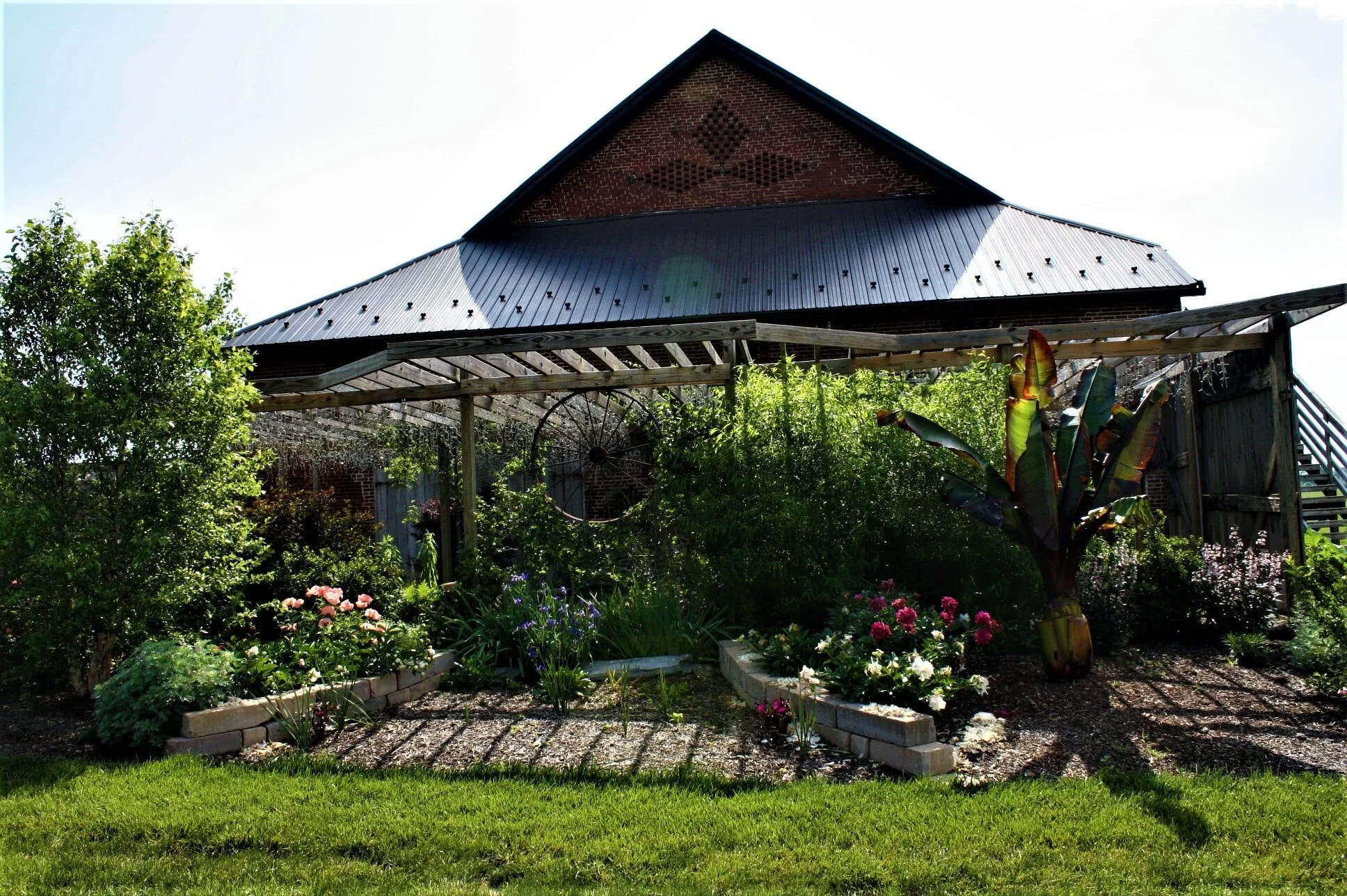 IMG_5037 - Copy-min.jpg