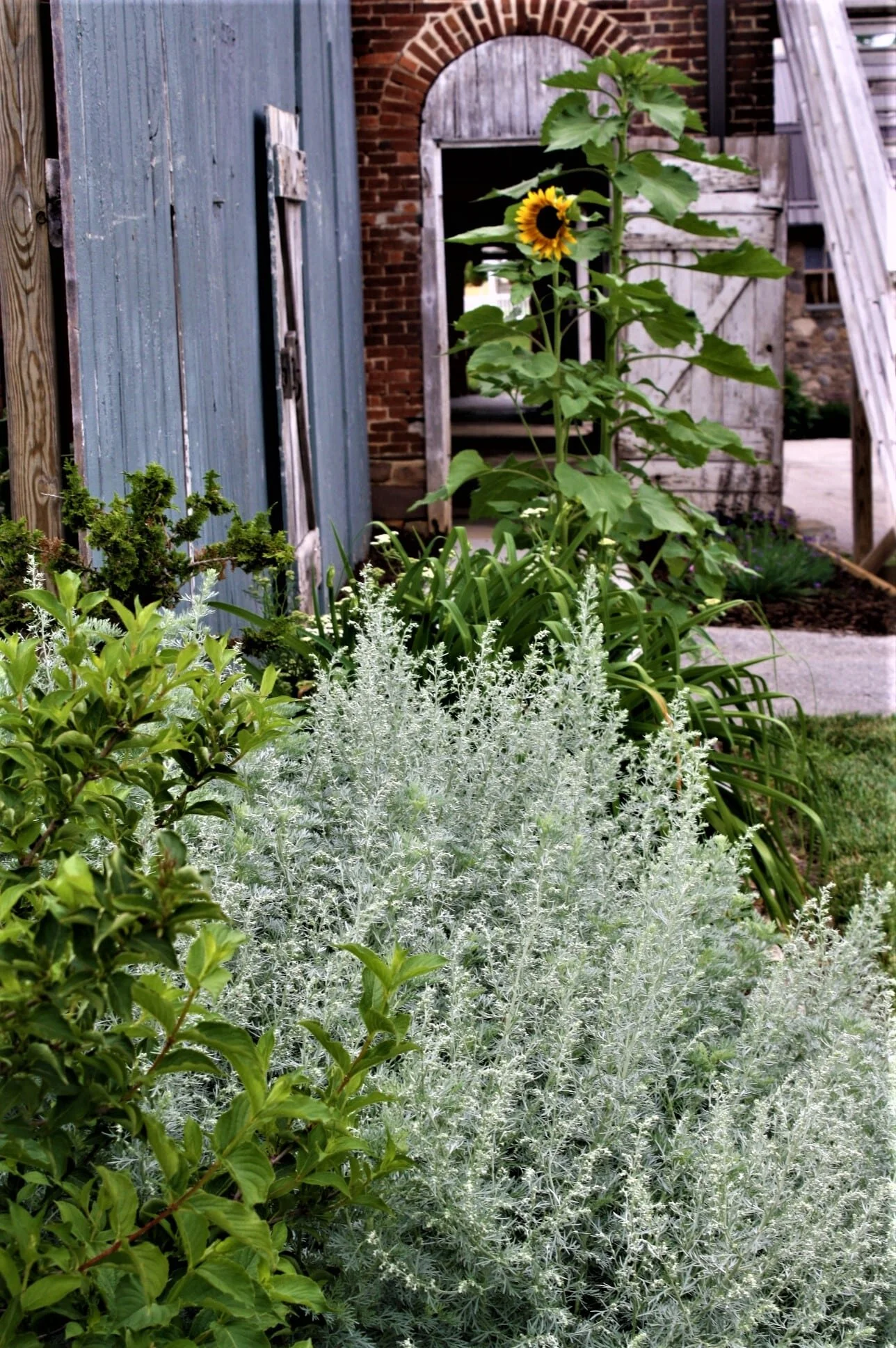 IMG_5187 - Copy-min.jpg