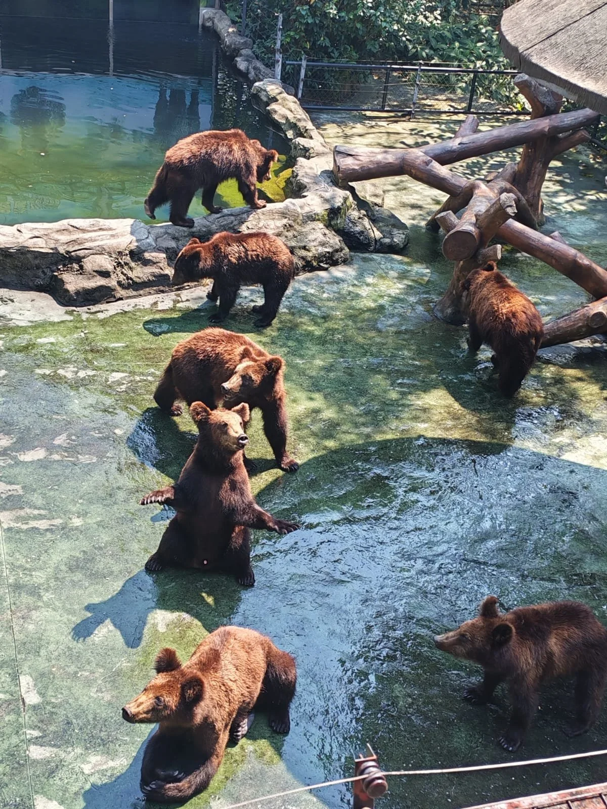 WhatsApp Image 2026-02-27 at 09.14.10.jpeg