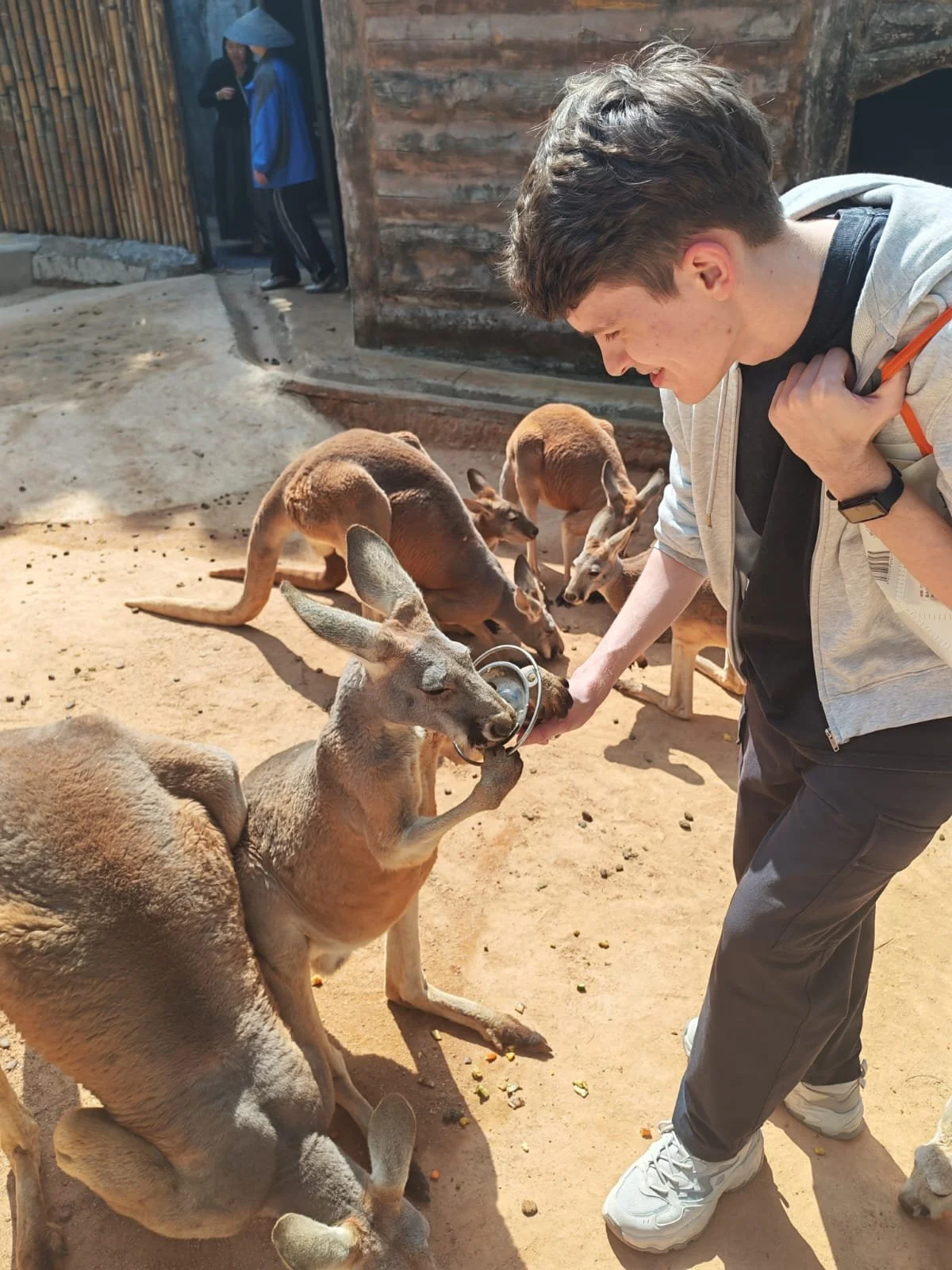 WhatsApp Image 2026-02-27 at 09.14.11.jpeg