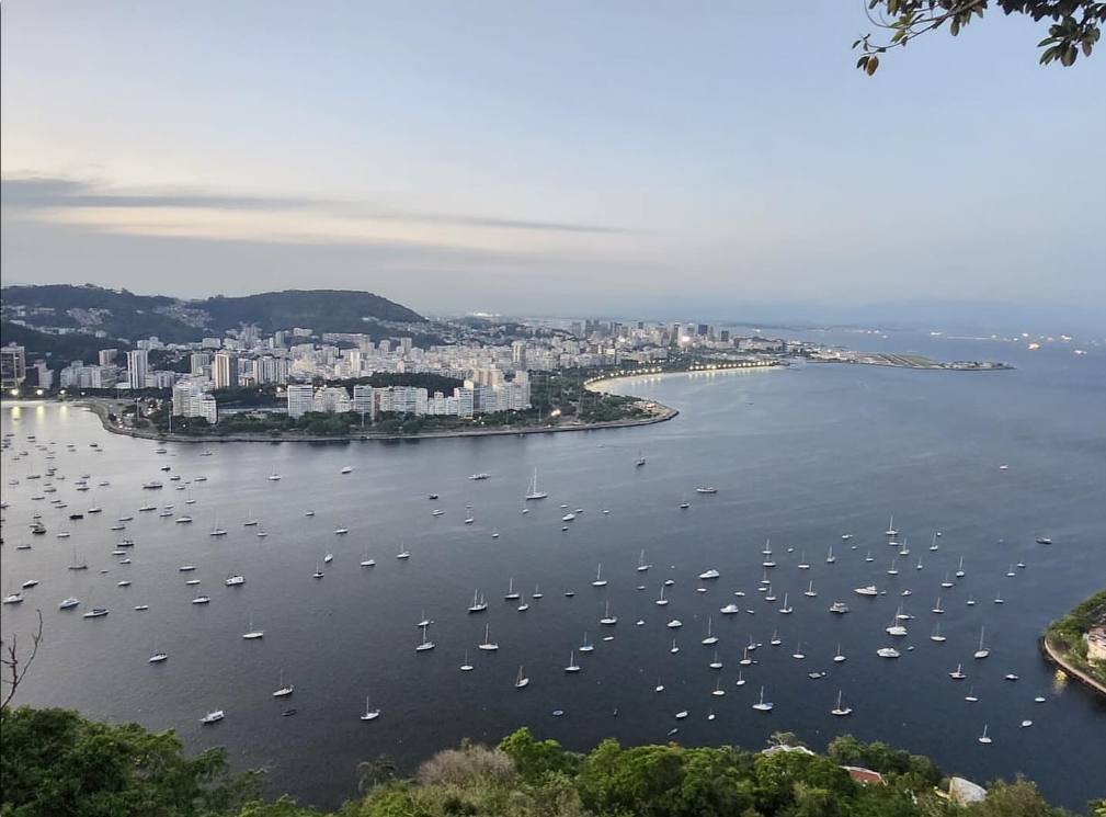 photo_2026-02-03 16.38.48.jpeg