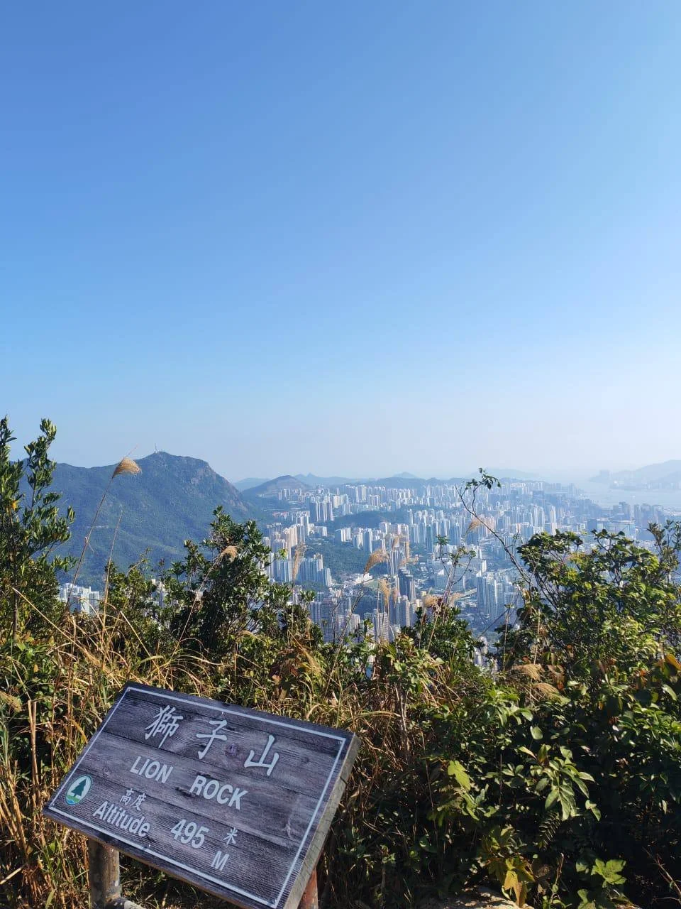 photo_2026-02-03 16.39.10.jpeg