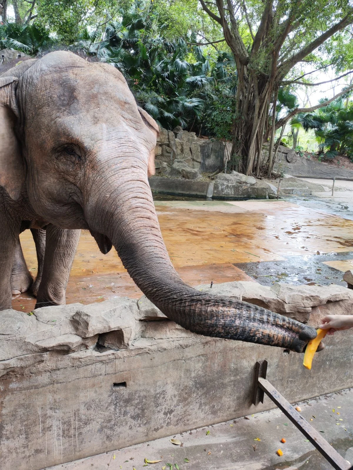 WhatsApp Image 2026-02-27 at 09.14.10 (1).jpeg