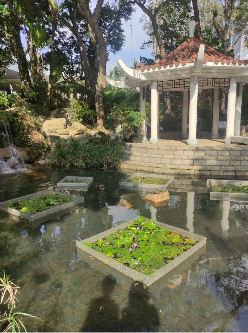 photo_2026-02-03 16.38.58.jpeg