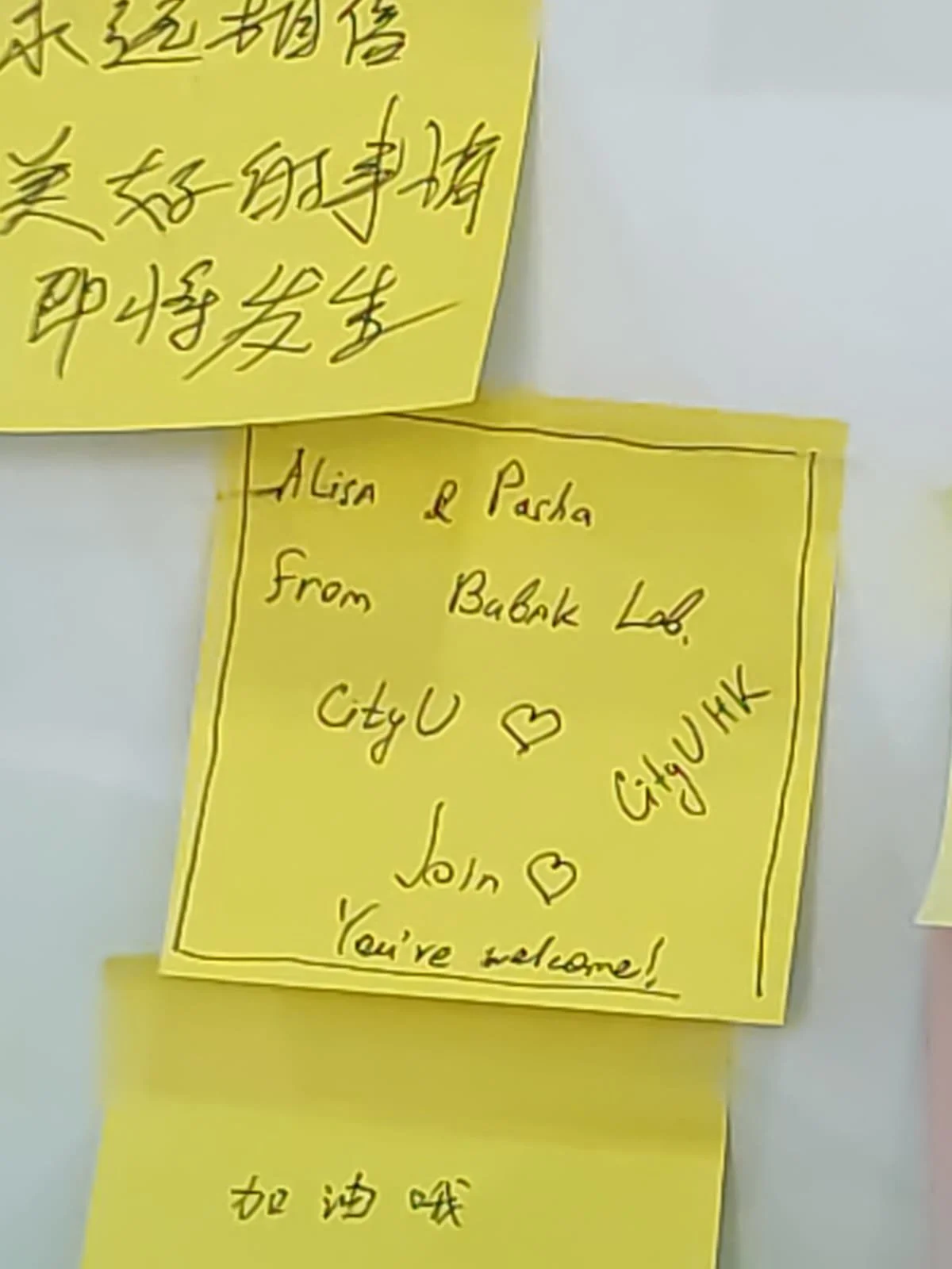 WhatsApp Image 2026-03-06 at 09.36.57.jpeg