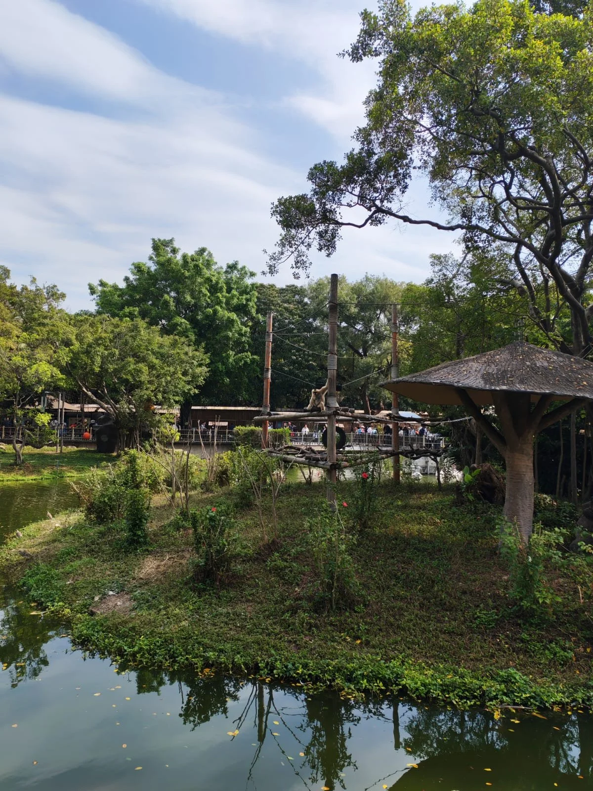 WhatsApp Image 2026-02-27 at 09.14.12.jpeg