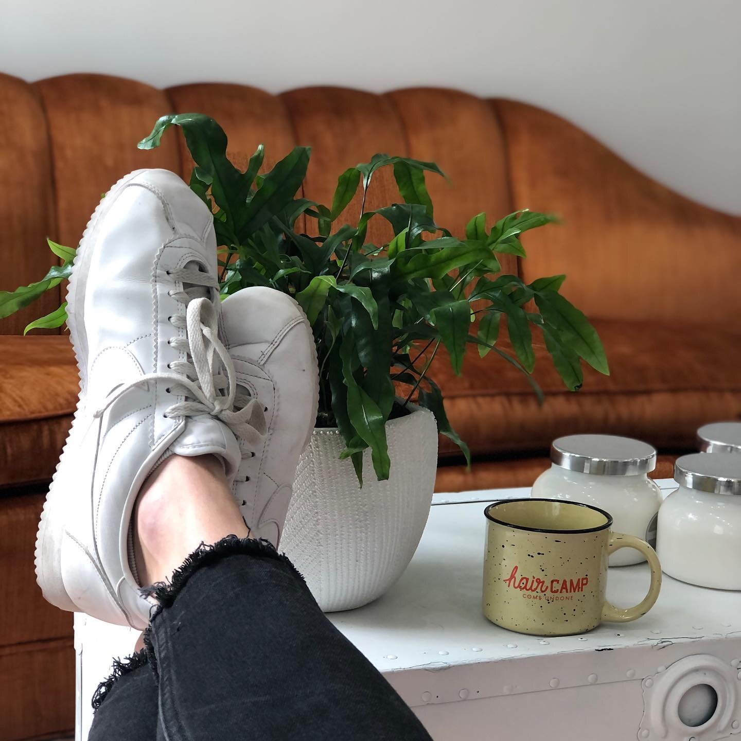 This is living.

Enjoying a cup of tea between clients and admiring this little slice of heaven that is Linmay Studio.

Enjoying the simple things on this Saturday!

🫖 Tea
🌿 Plant
⛺️ Hair Camp
👟 Nikes
🕯 Candles
🛋 Ginger (the couch)
