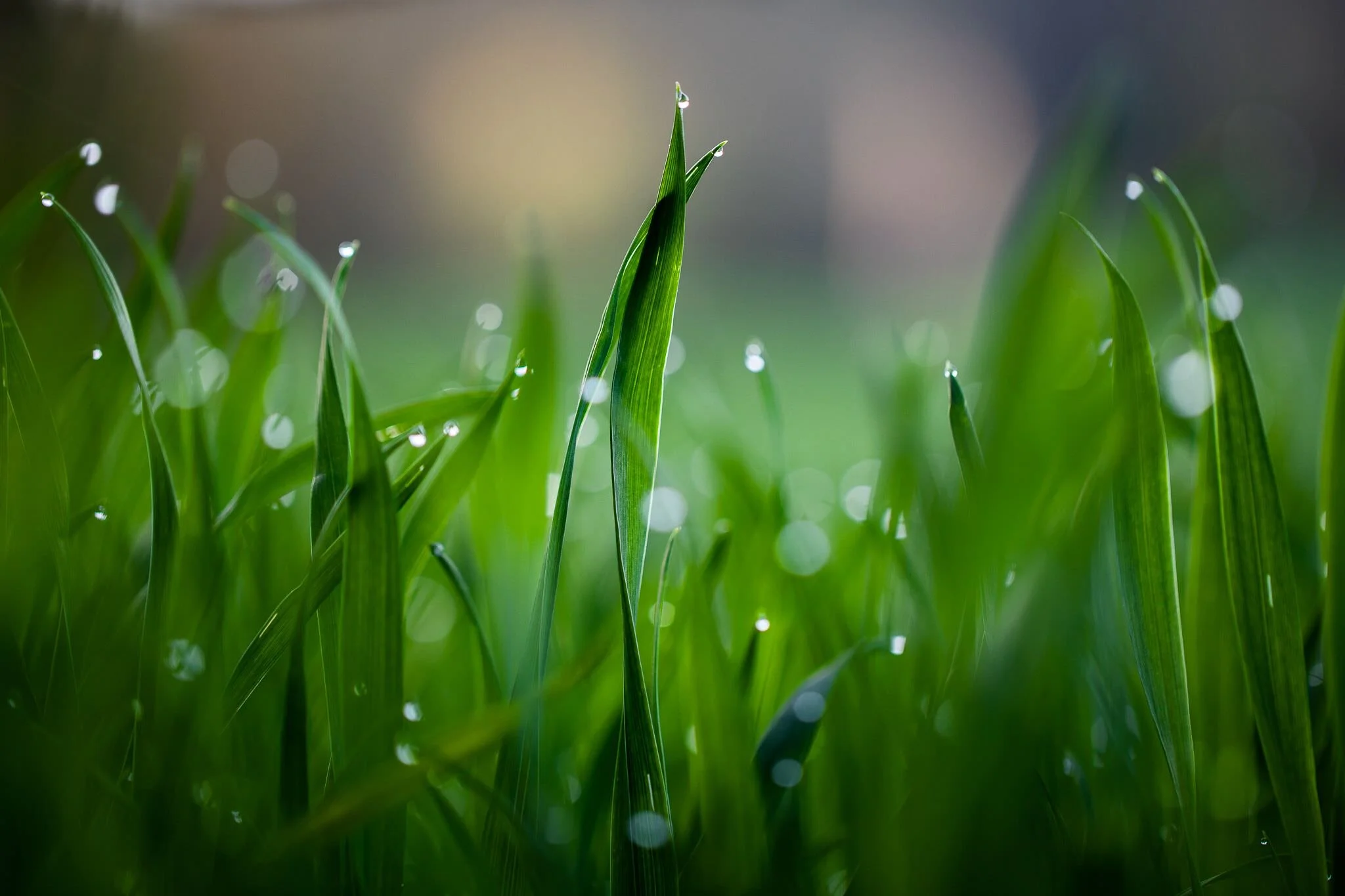 Inhalt, Ablauf, Preis.jpeg