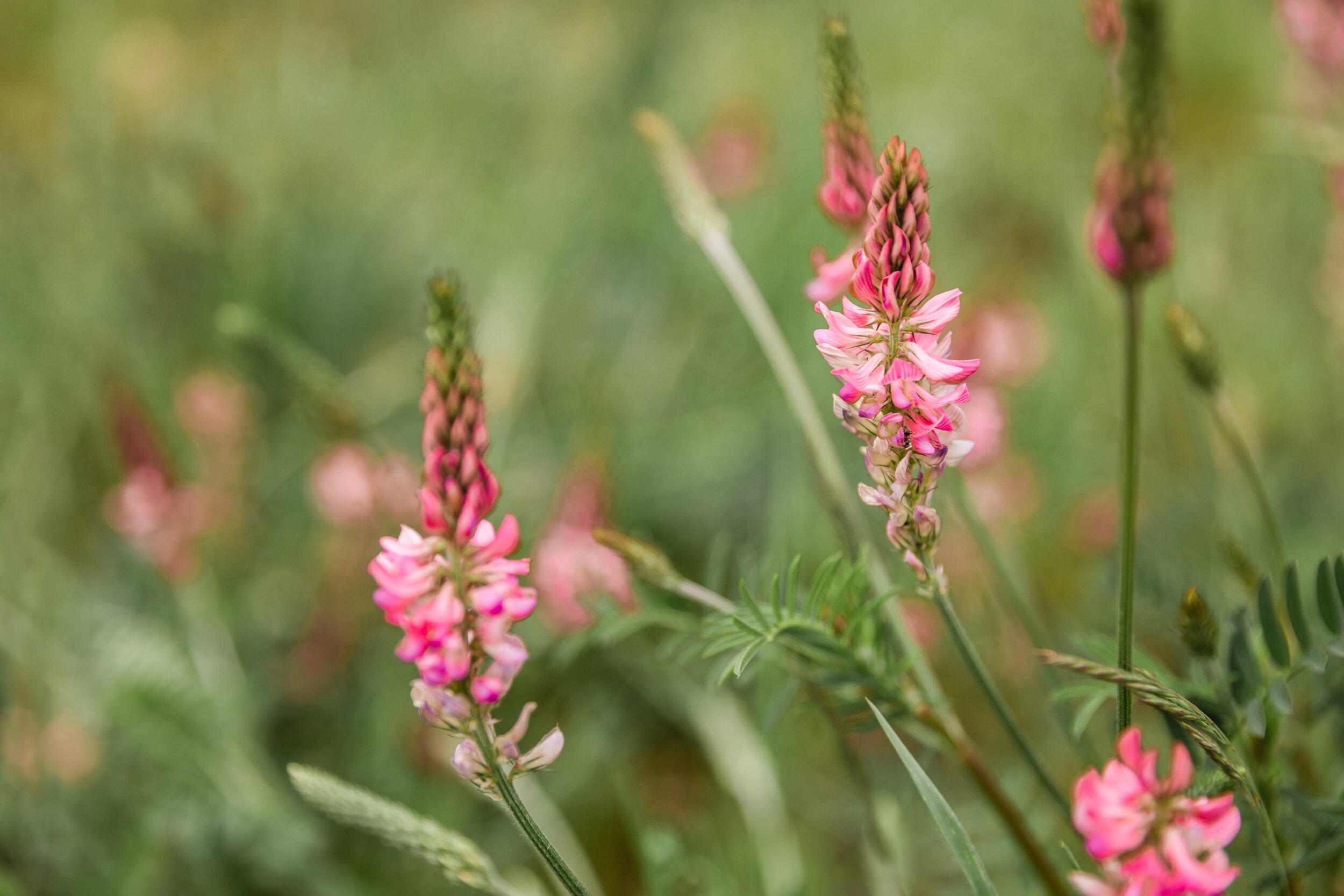 Foto Rezensionen.jpeg