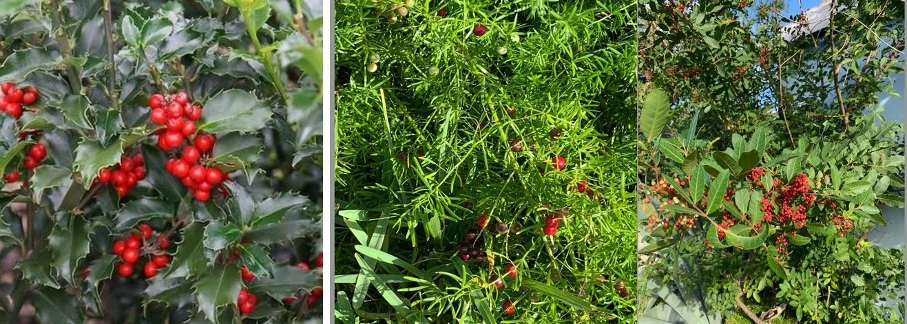 Adapting to a New World